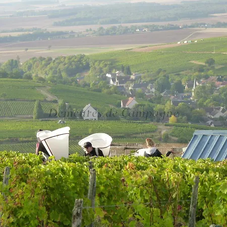 Maison Les Fossiles Sancerre Extérieur photo