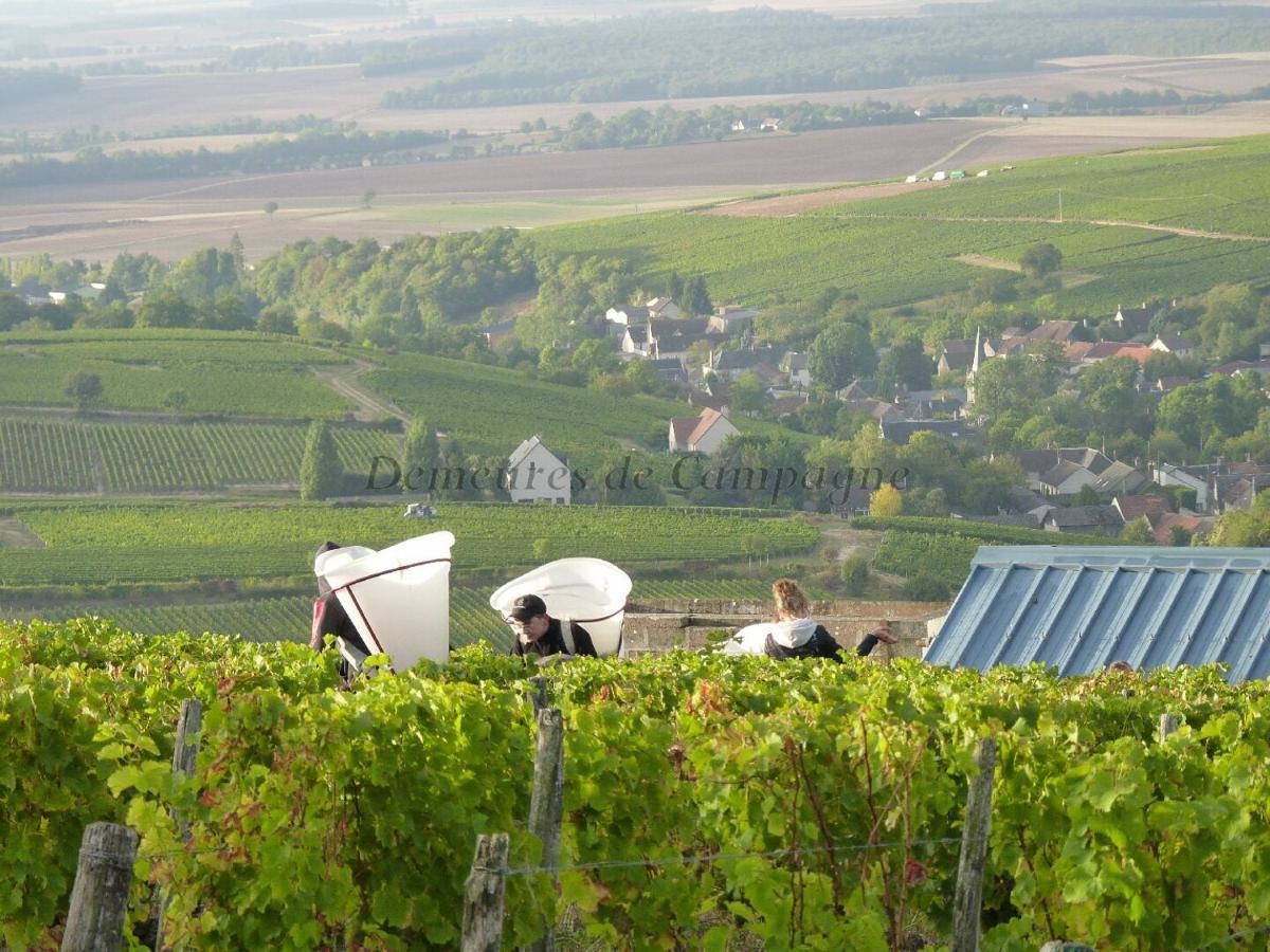 Maison Les Fossiles Sancerre